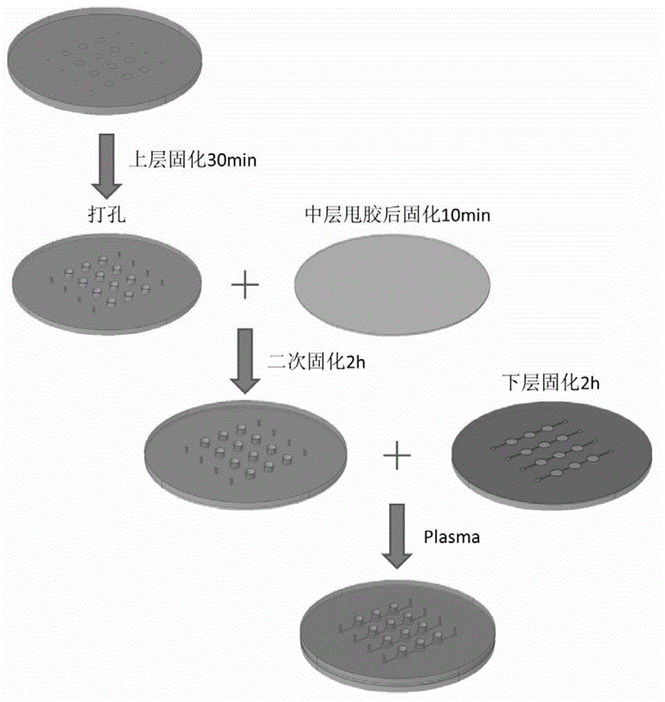 Micro-fluidic chip culture device of cell capable of being stretched mechanically and application thereof