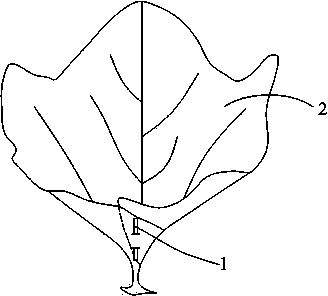 Manufacturing method for degradable environment-friendly packing material and application thereof