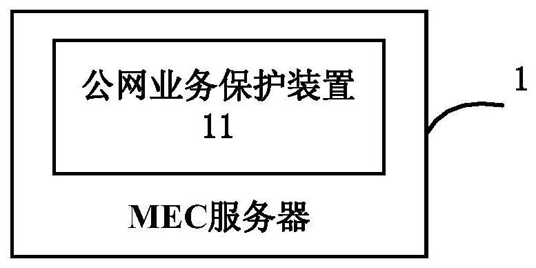 Public network service protection method, device, mec server and system