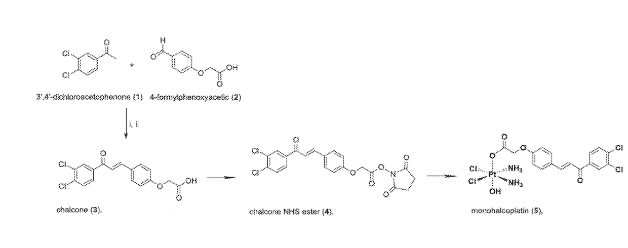 Cytotoxic platinum complex, its preparation and therapeutic use