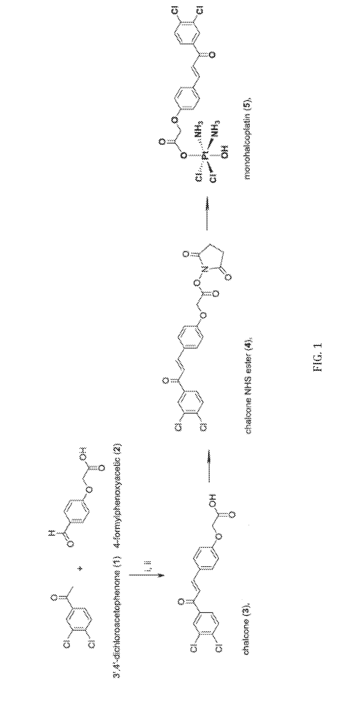 Cytotoxic platinum complex, its preparation and therapeutic use