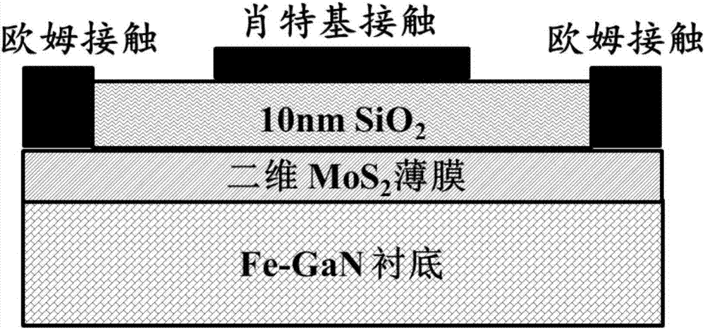 MoS2 photoelectric detector based on Fe-doped GaN substrate and manufacturing method