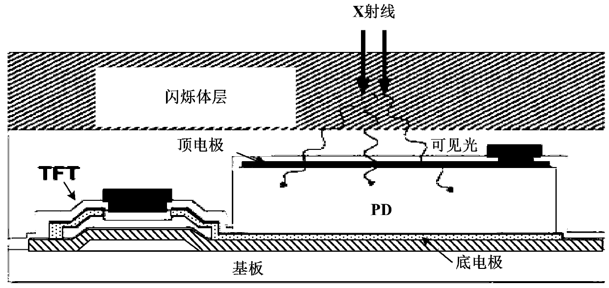 An X-ray image sensor and its method for eliminating image afterimage