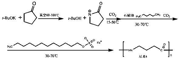 Preparation method of polybutyrolactam through anionic ring-opening polymerization