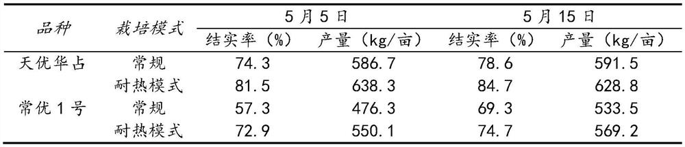 A key cultivation method for improving rice heat tolerance and its application in improving rice heat tolerance