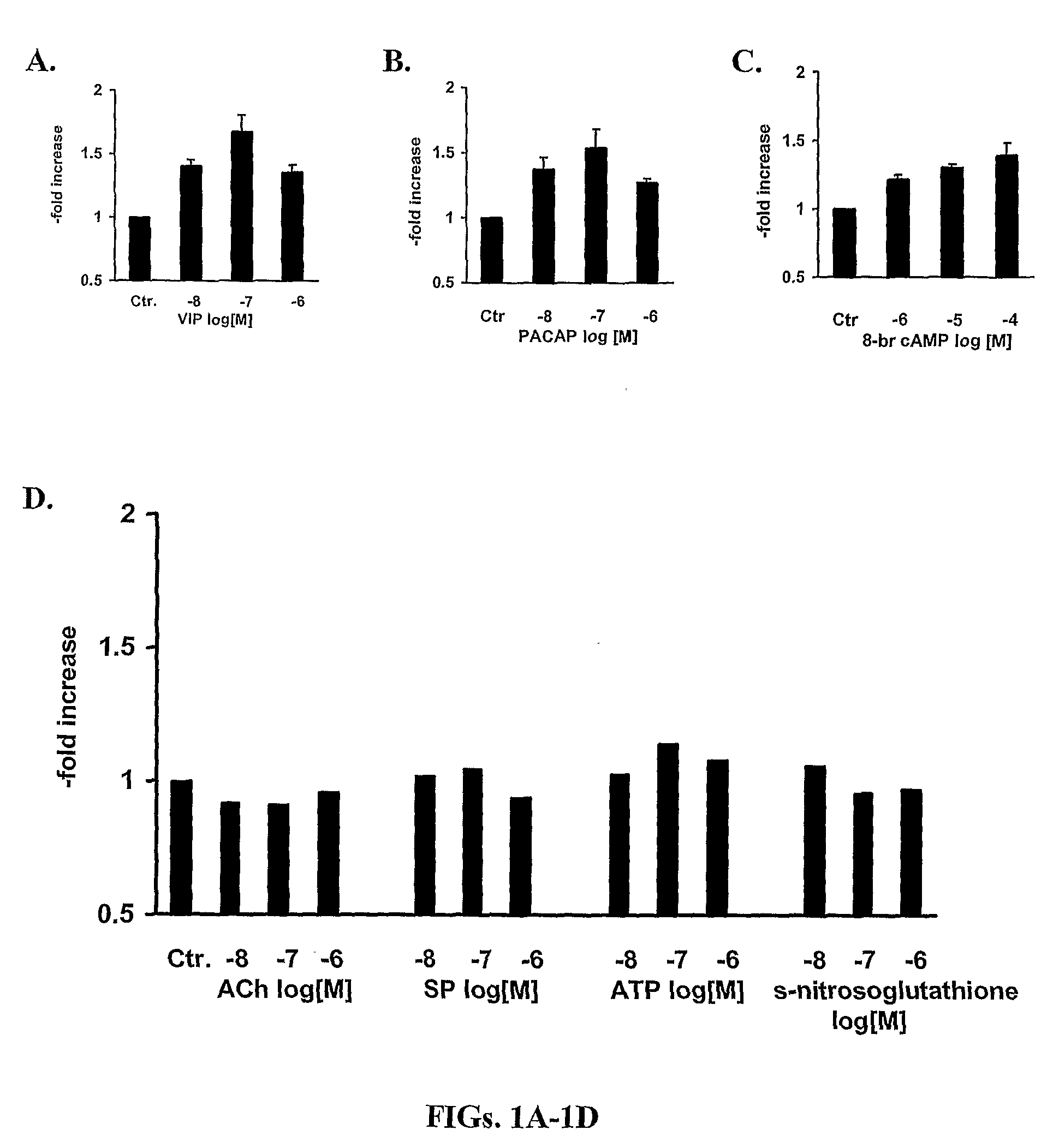 Methods and Compositions Involving A1c Subunit of L-Type Calcium Channels in Smooth Muscle Cells