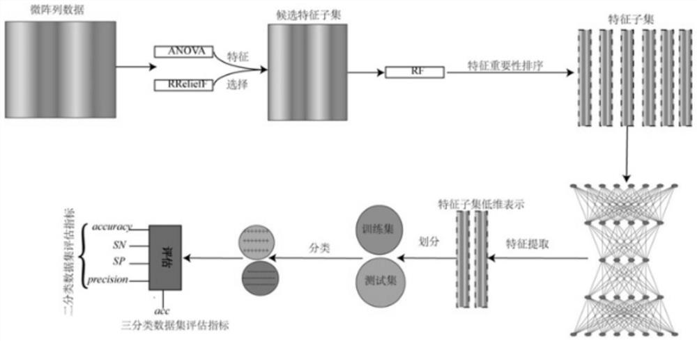 Cancer gene classification method and device based on two-stage depth feature selection and storage medium