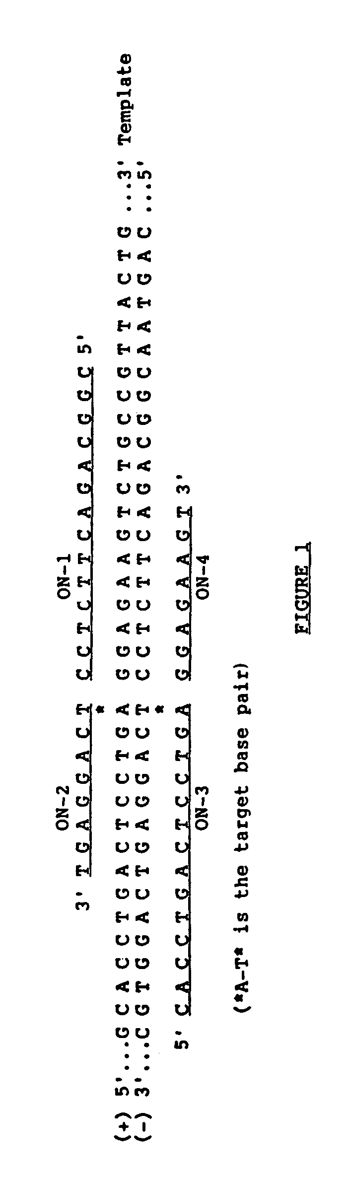 Ligation amplification of nucleic acid sequences