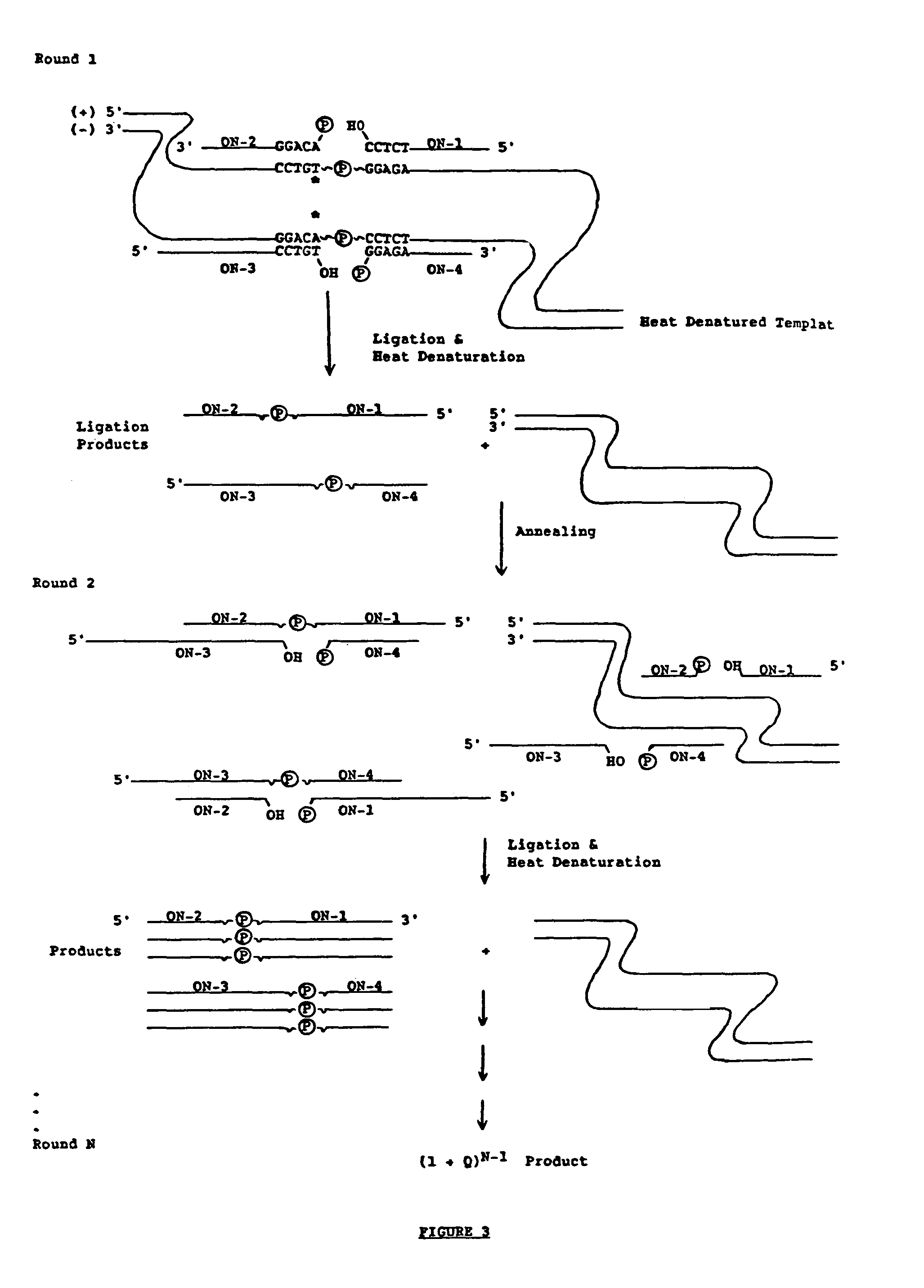 Ligation amplification of nucleic acid sequences