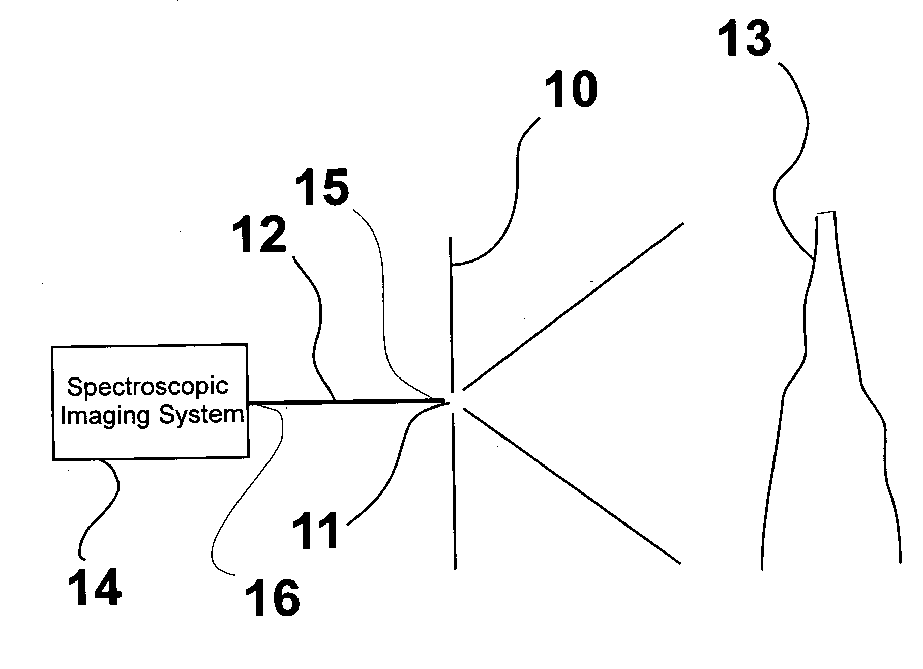 Fiber optic spectroscopic digital imaging sensor and method for flame properties monitoring