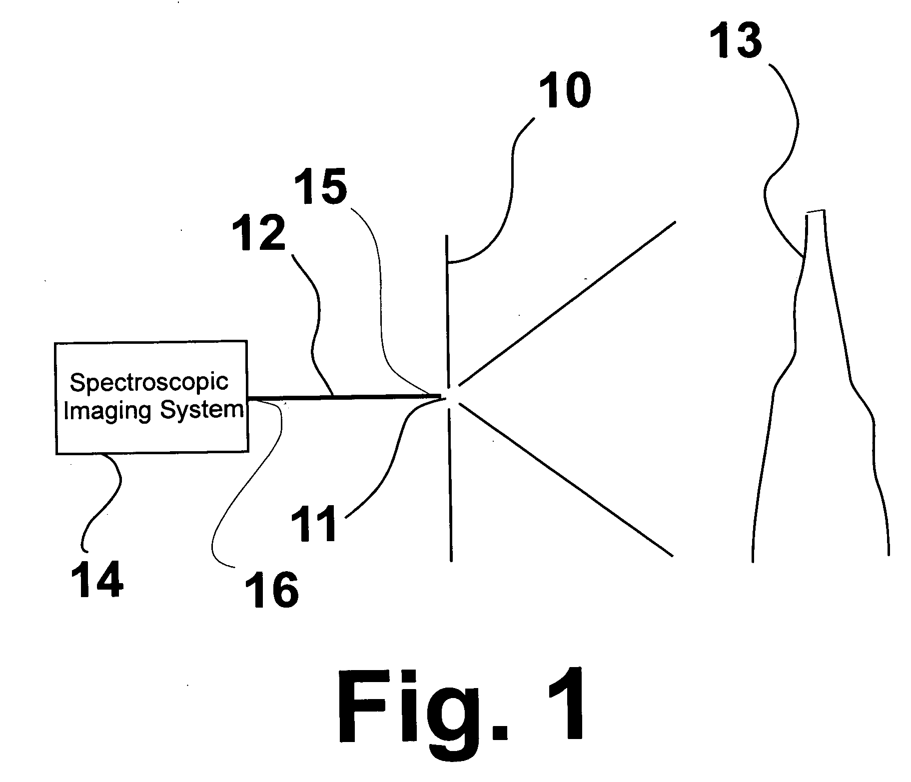 Fiber optic spectroscopic digital imaging sensor and method for flame properties monitoring