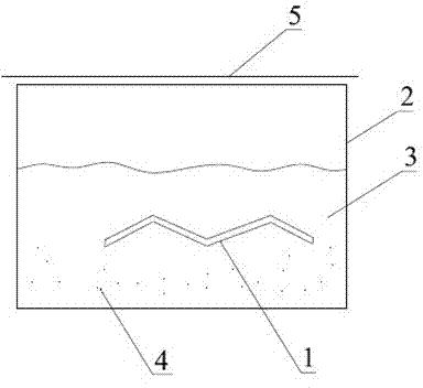 Seedling device and method for preventing mass mortality of larval haliotis diversicolor