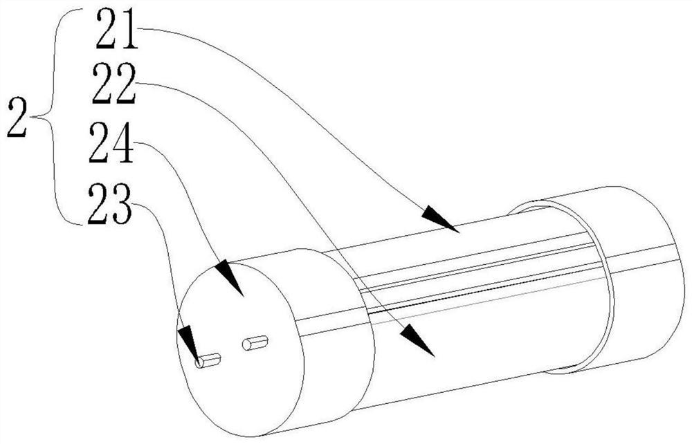 Light source module capable of improving human immunity and lighting device