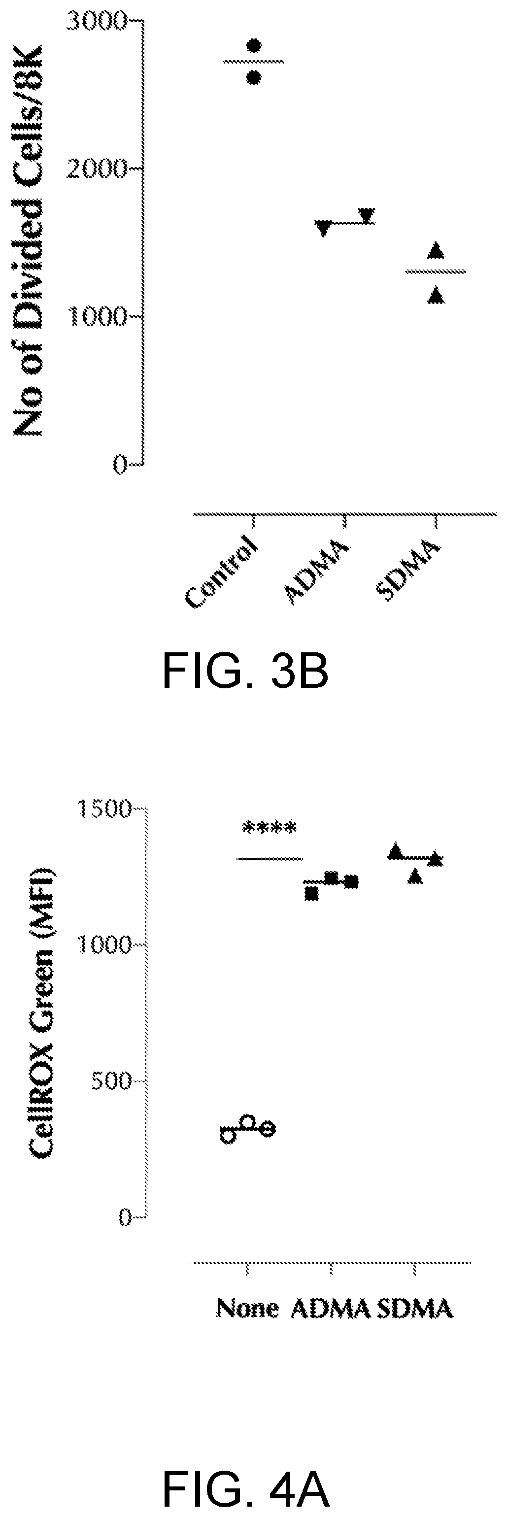 Method of inhibiting the proliferation of t and/or b lymphocytes via dimethylarginine derivatives and lymphocytes proliferation inhibitor