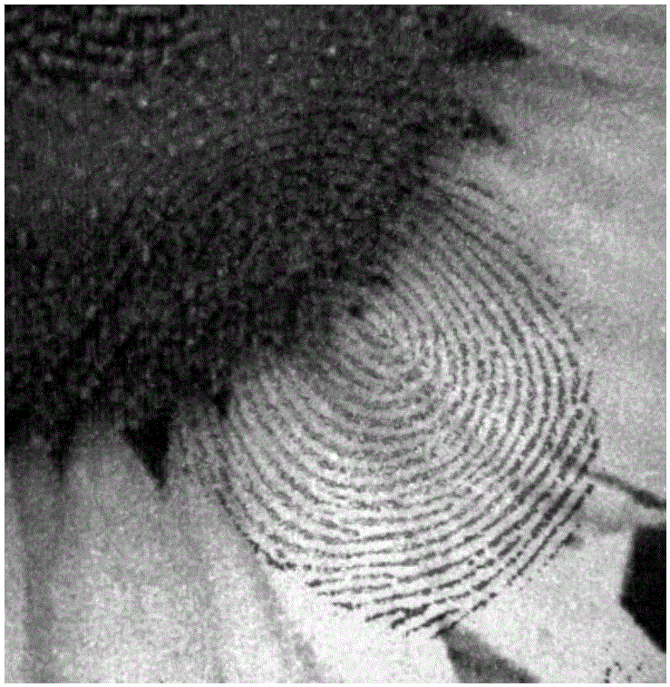 Latent fingerprint image enhancement method for hyperspectral imaging