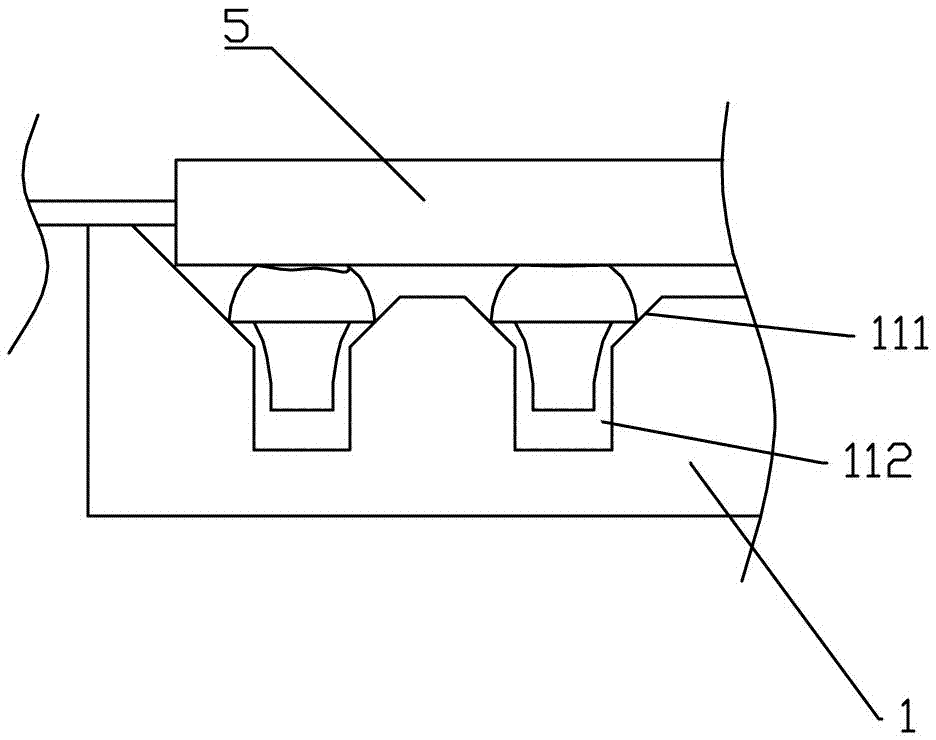 Mushroom transportation device