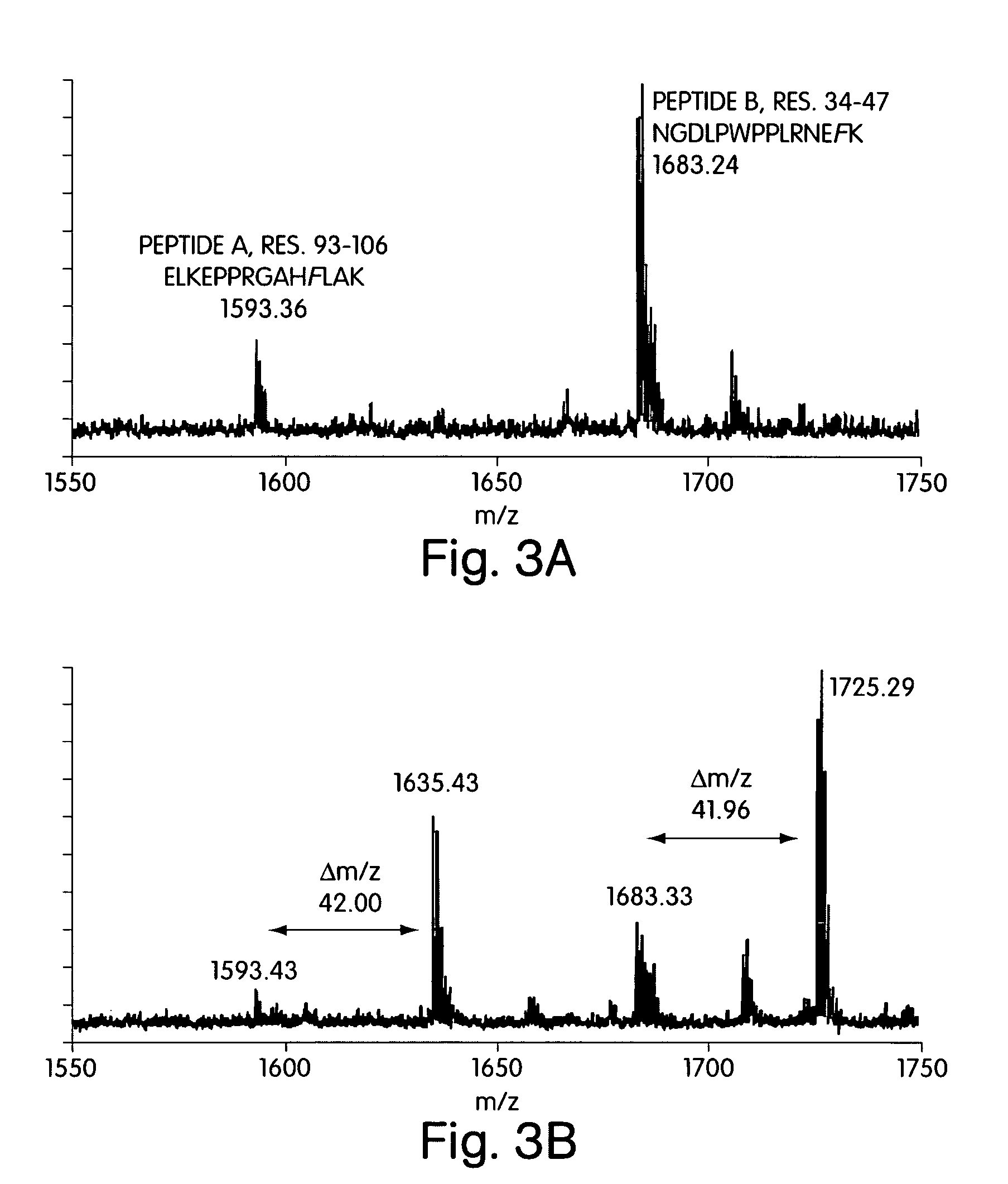 Computational method for designing enzymes for incorporation of non natural amino acids into proteins