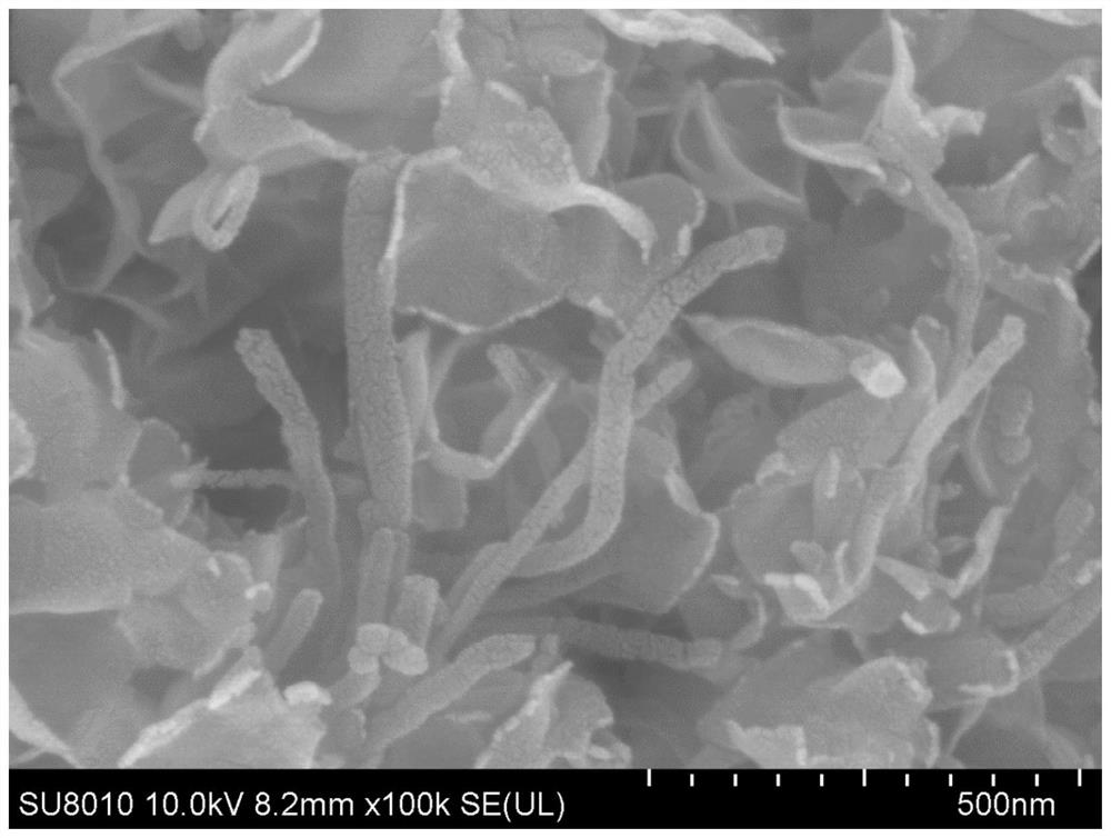 Anode for microbial fuel cell, preparation method of anode and microbial fuel cell