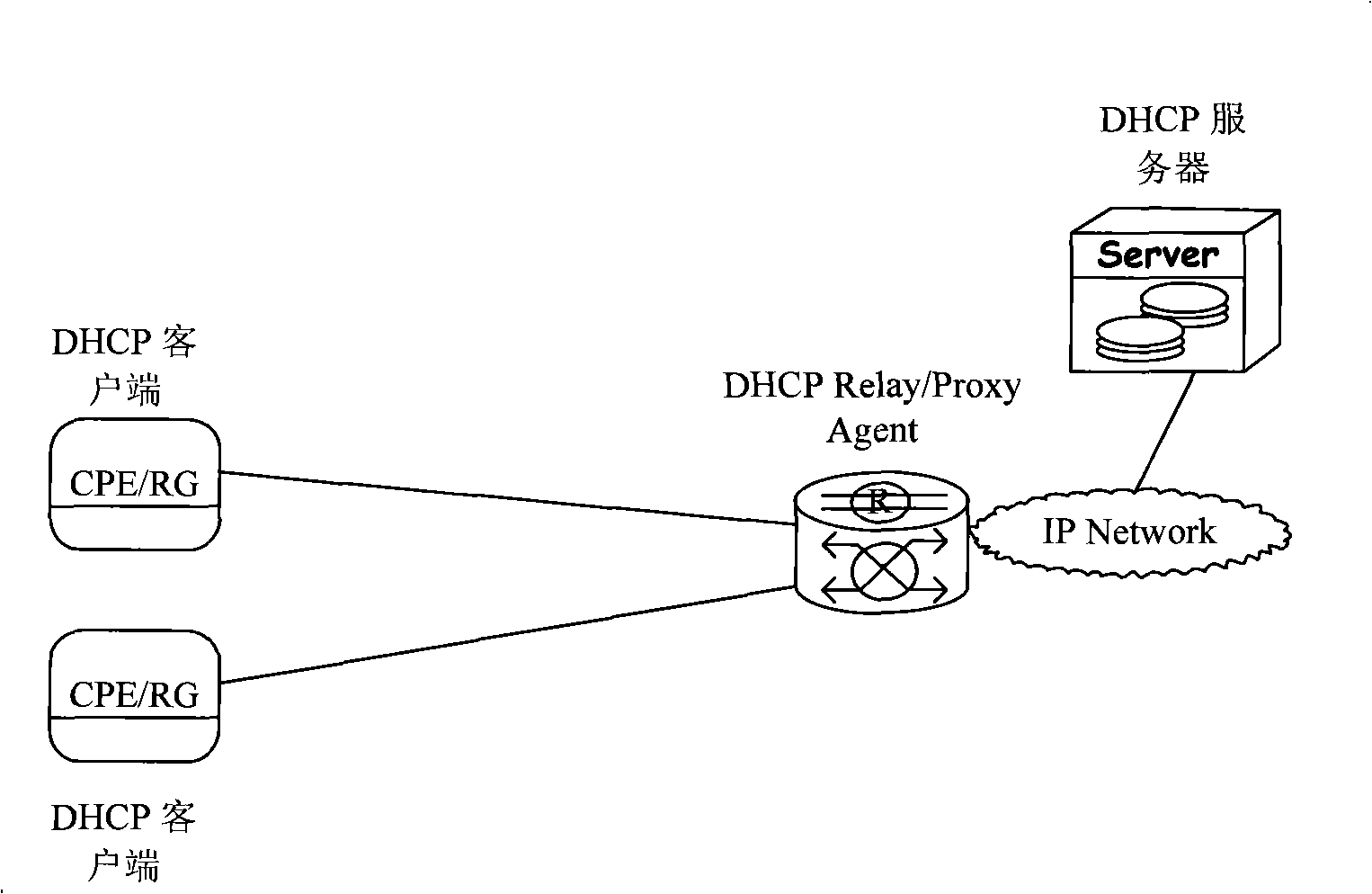Status detection method, apparatus and system of dynamic host configuring protocol