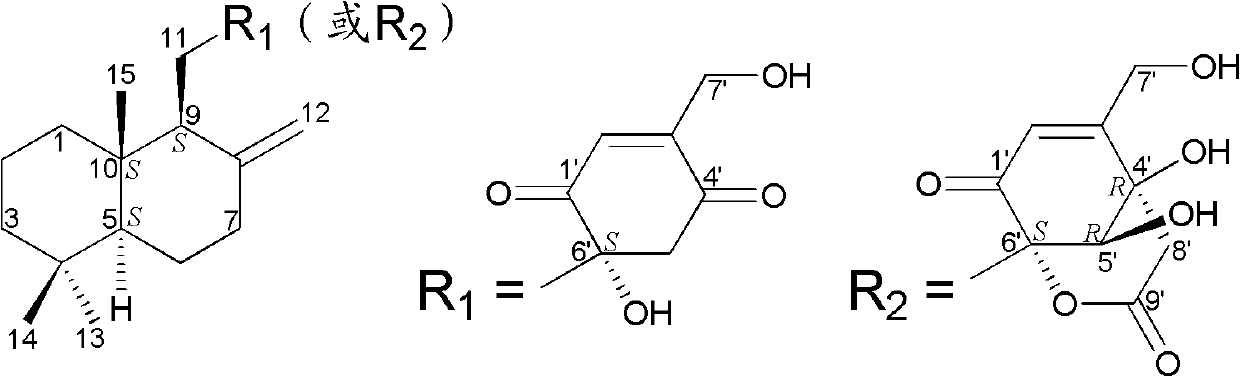 Drimane-type sesquialter terpene cyclohexenone derivative, preparation method thereof and application