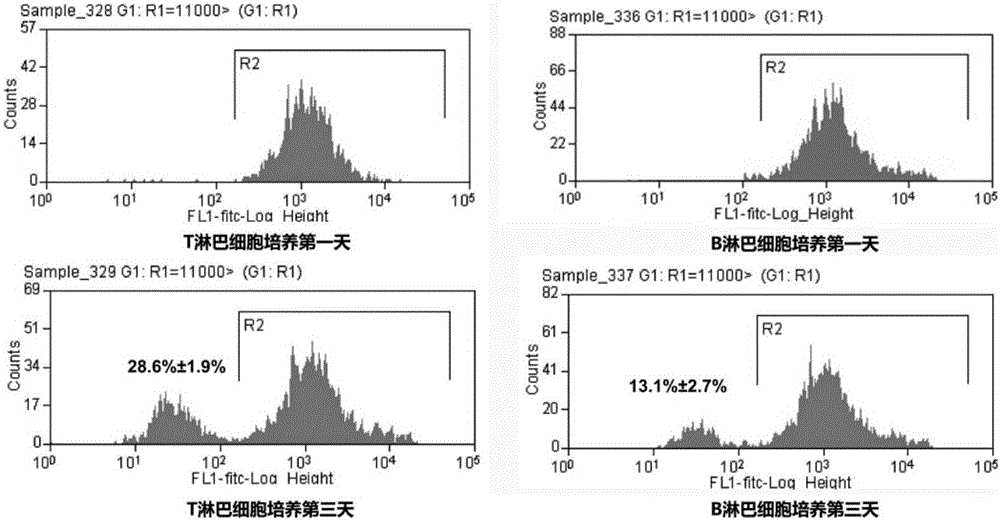 Method for simultaneous separation of T and B lymphocytes in peripheral blood