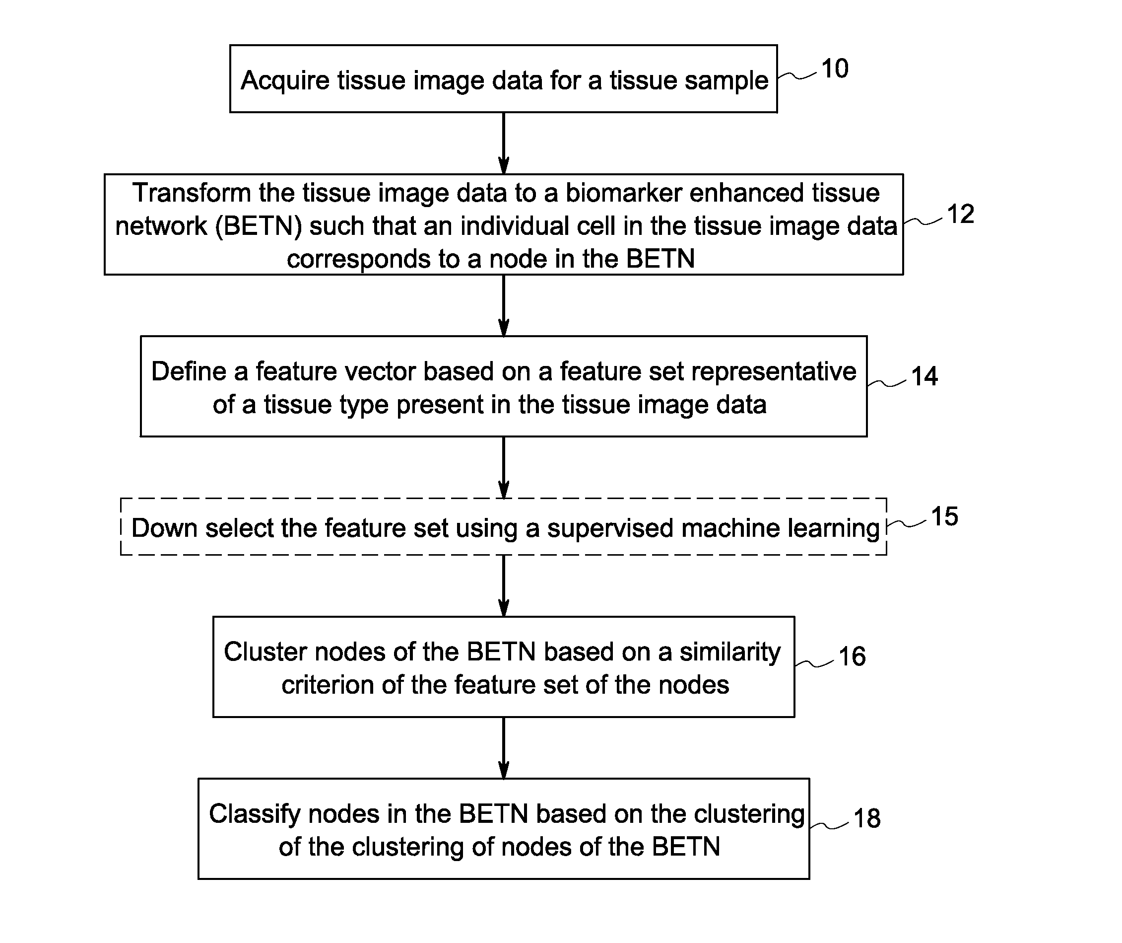 Systems and methods for tissue classification