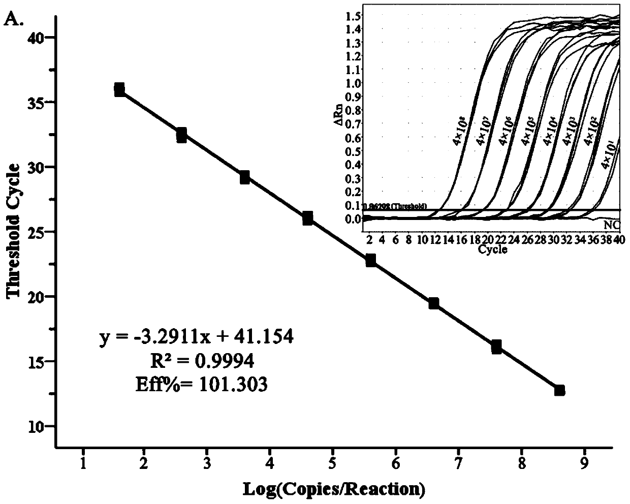 A dual fluorescent quantitative PCR primer, kit and method for simultaneous detection of Streptococcus suis universal type and Streptococcus suis type 2