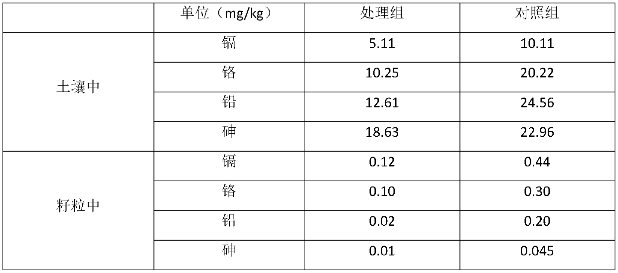 Selenium-rich ecological water-soluble fertilizer and preparation method thereof