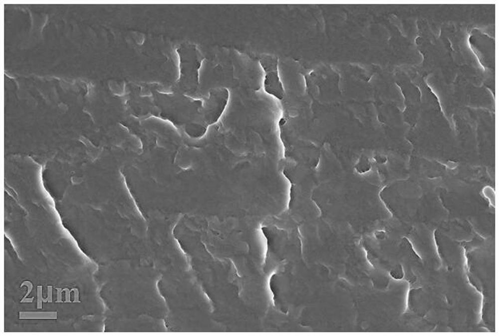 Preparation method of boron nitride-modified layered double hydroxide/polyvinyl alcohol separation membrane