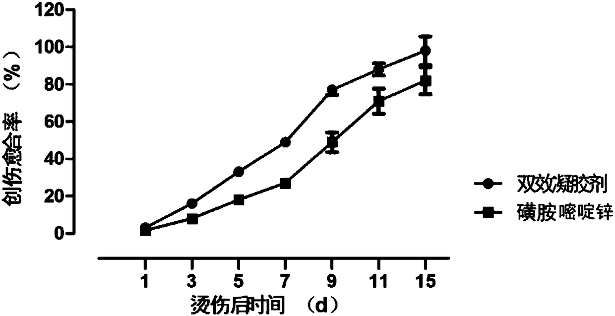 Medicine for external use with dual effects of analgesia and antibacterial, preparation and preparation method thereof