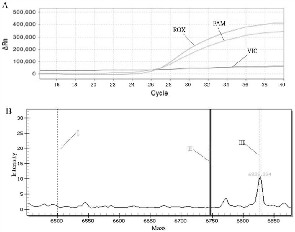 Multi-SNP locus genetic typing method based on nMALDI-TOF technology