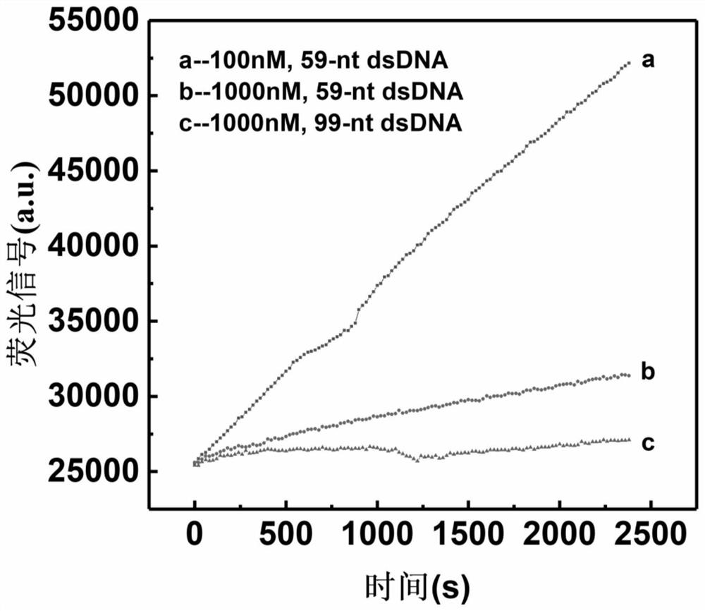 A method for specific regulation of nuclease activity