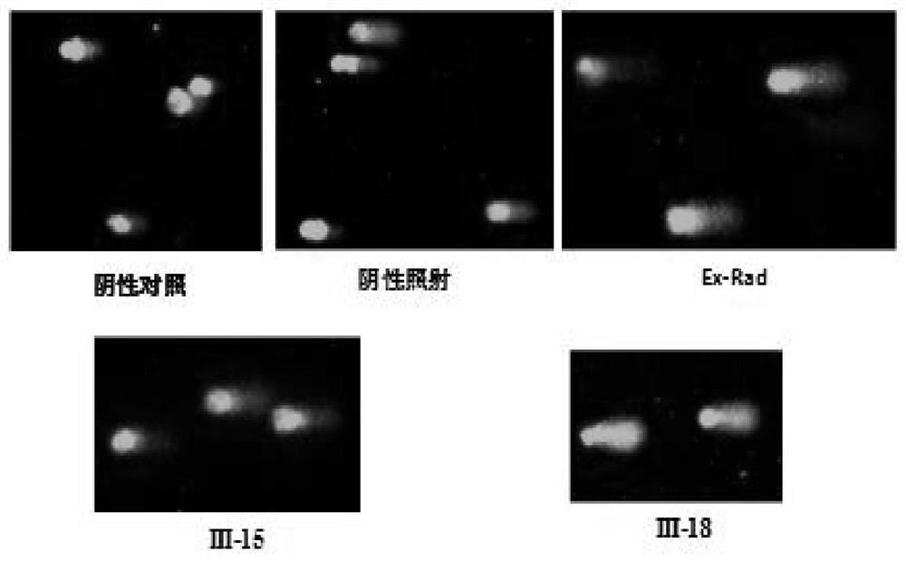 A kind of benzimidazole derivative and its preparation method and application