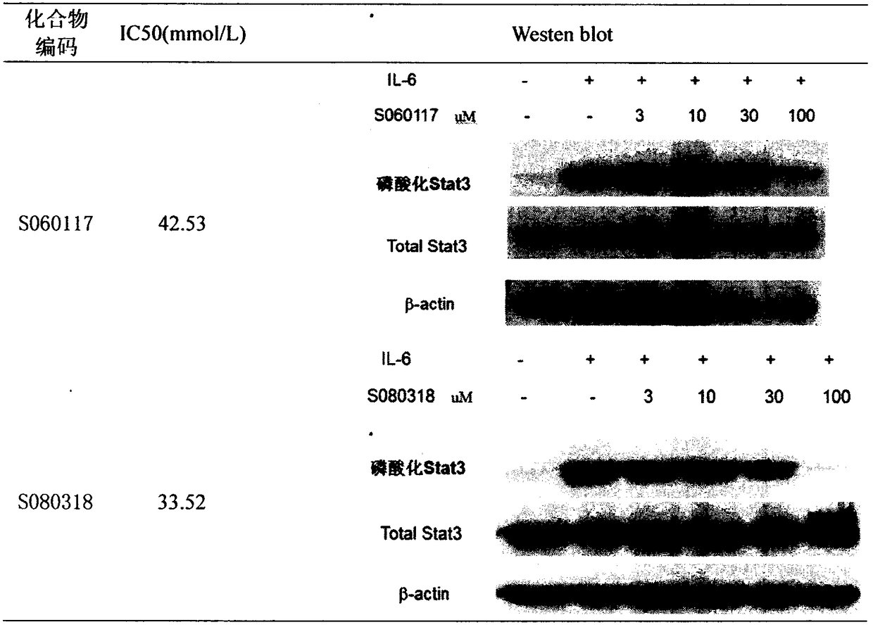 Preparation and uses of a class of novel signal transducer and activator of transcription type3 (STAT3) inhibitors