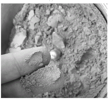 Preparation method of dry Premna microphylla leaf powder