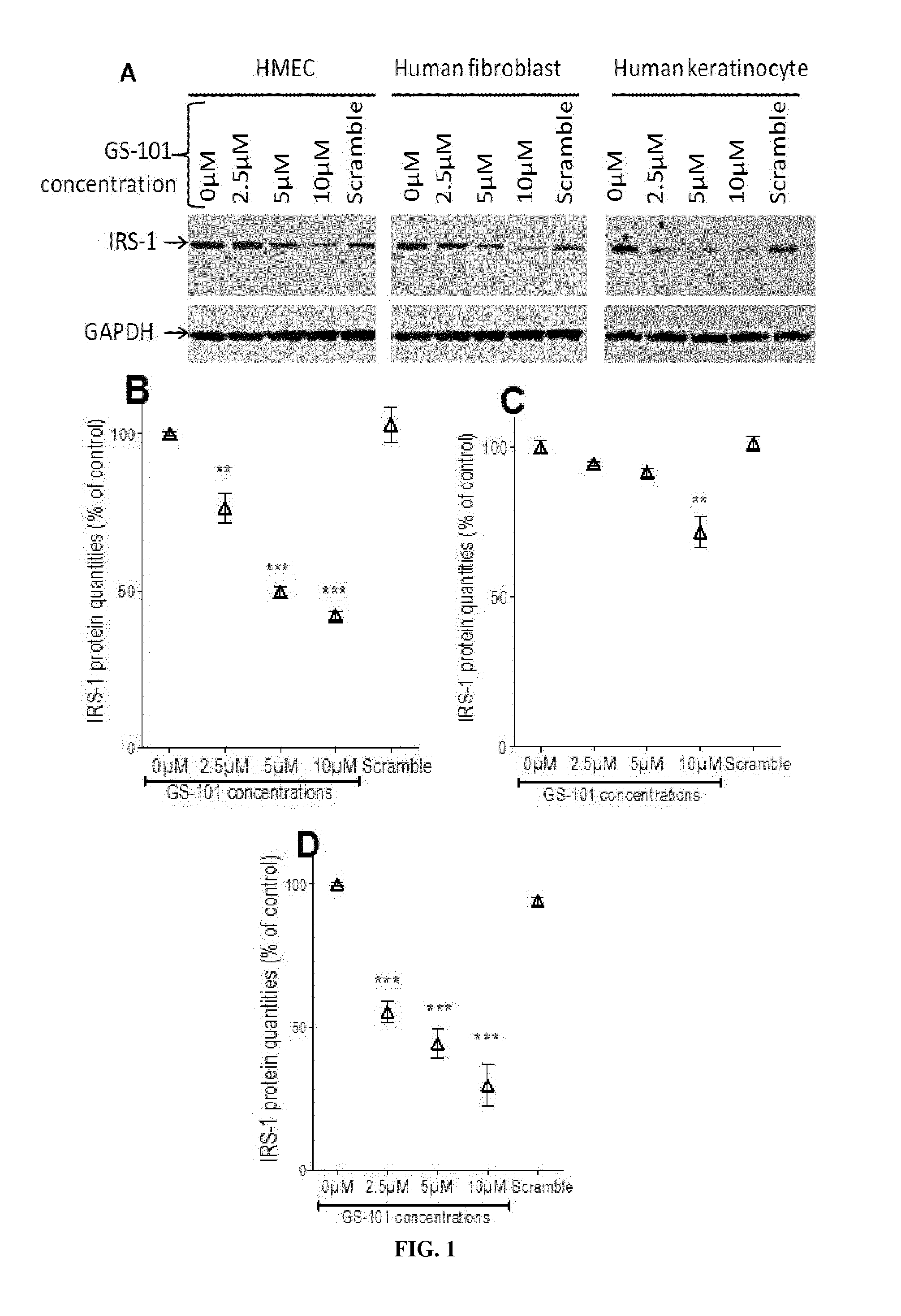 Use of an inhibitor of irs-1 for treating skin disorders