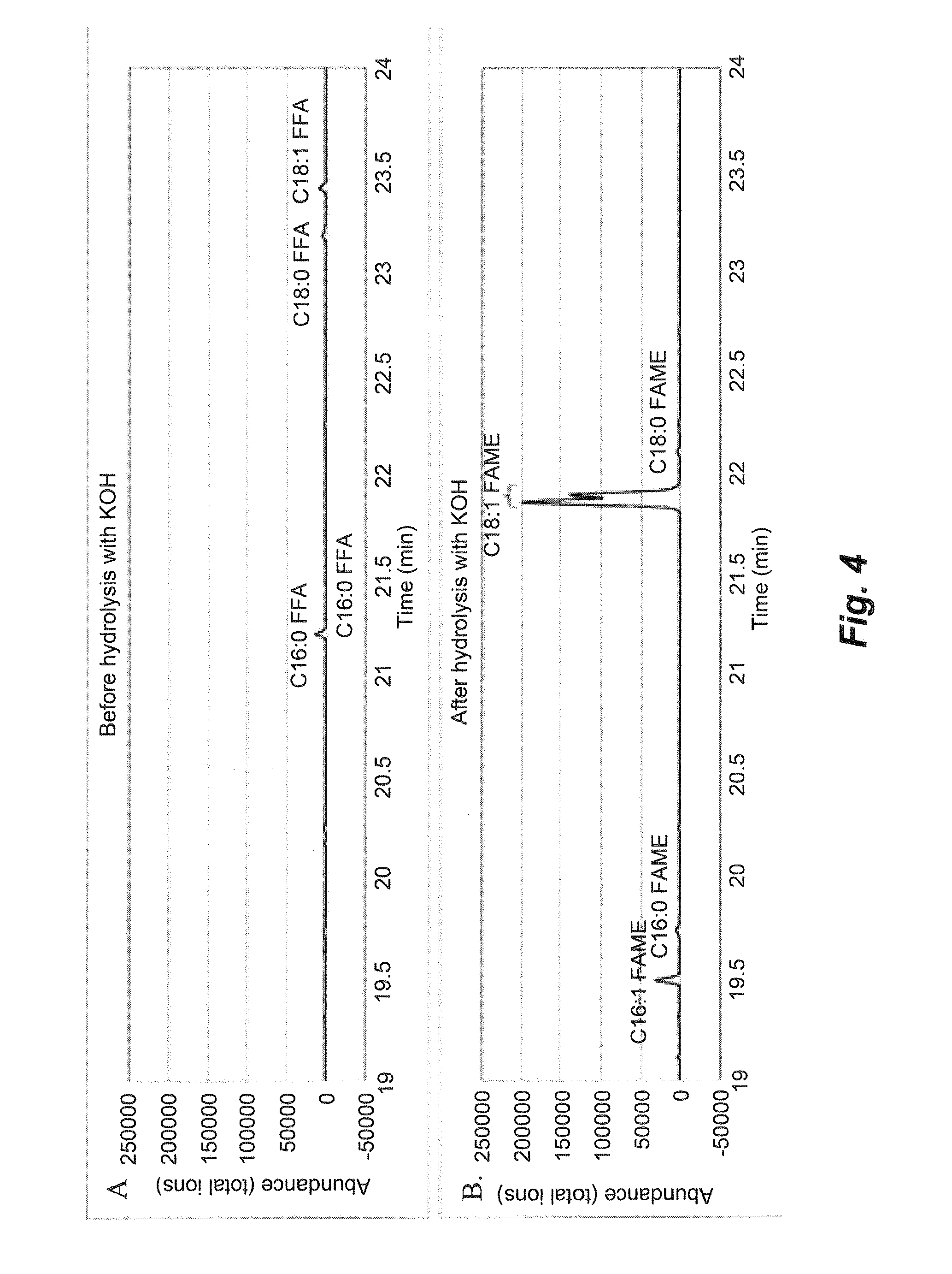 Biorefinery system, methods and compositions thereof
