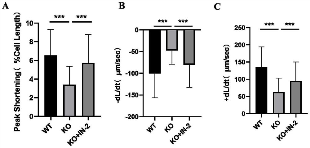 Pharmaceutical application of beta-catenin specific inhibitor