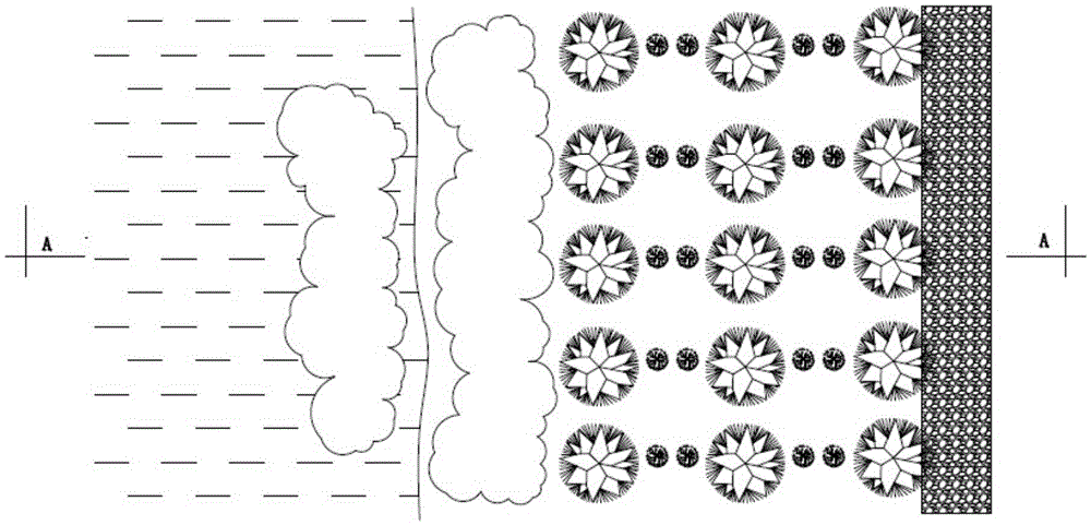 An ecological health-care type soil-fixing slope protection and its construction method