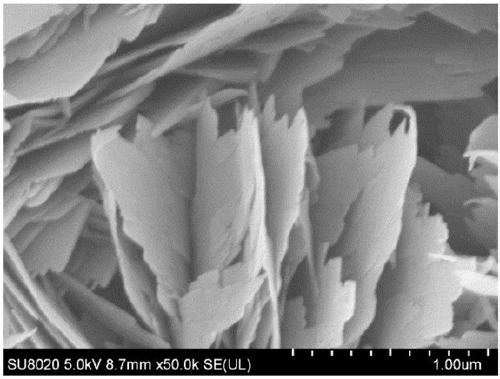 A kind of single-phase cuo nanosheet array film and preparation method thereof