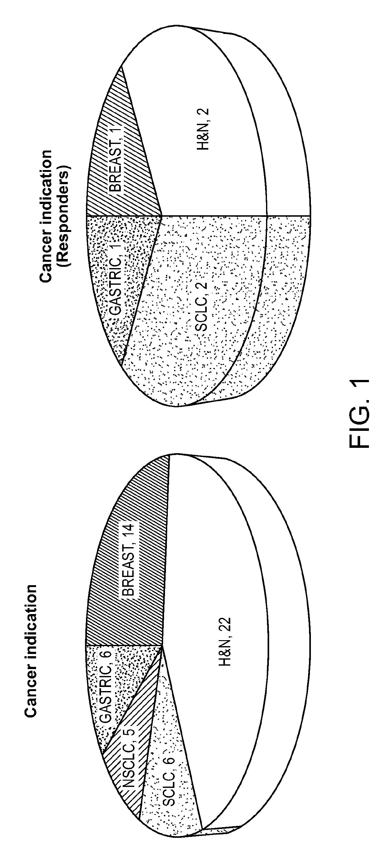 Biomarkers of response to selective inhibitors of aurora a kinase