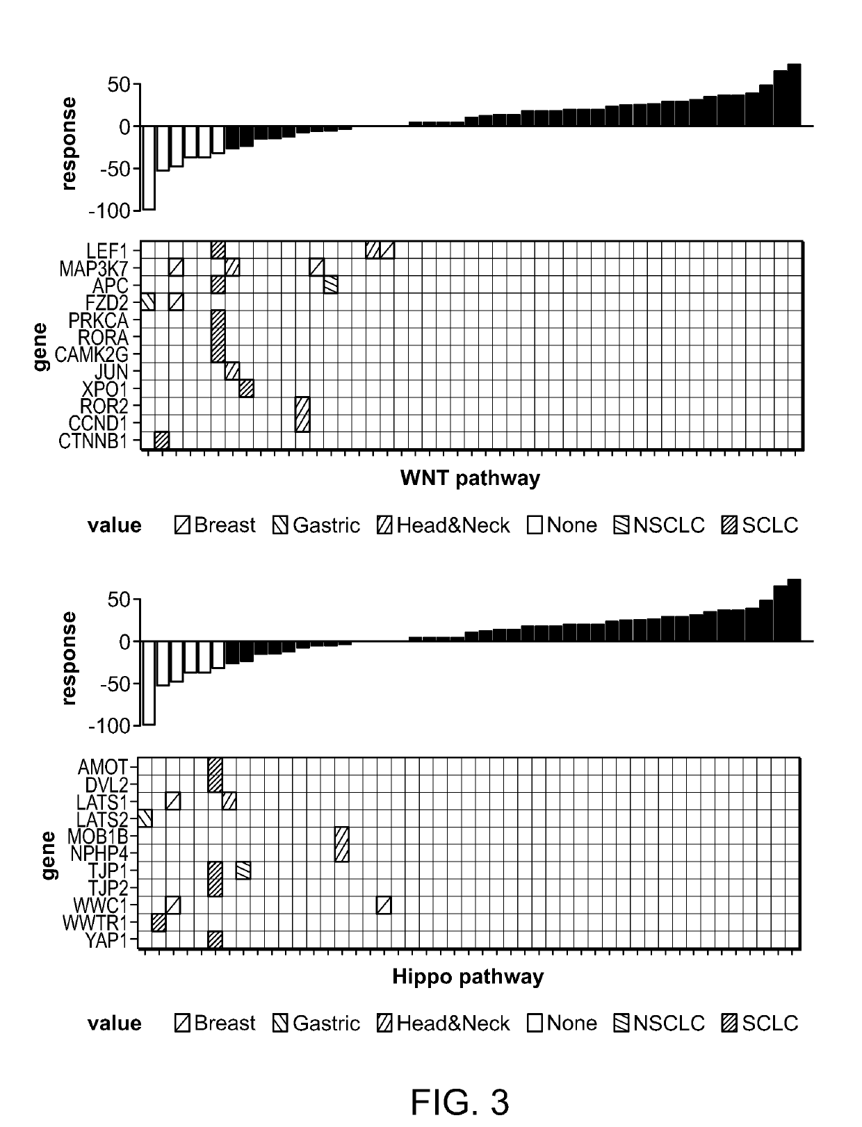 Biomarkers of response to selective inhibitors of aurora a kinase