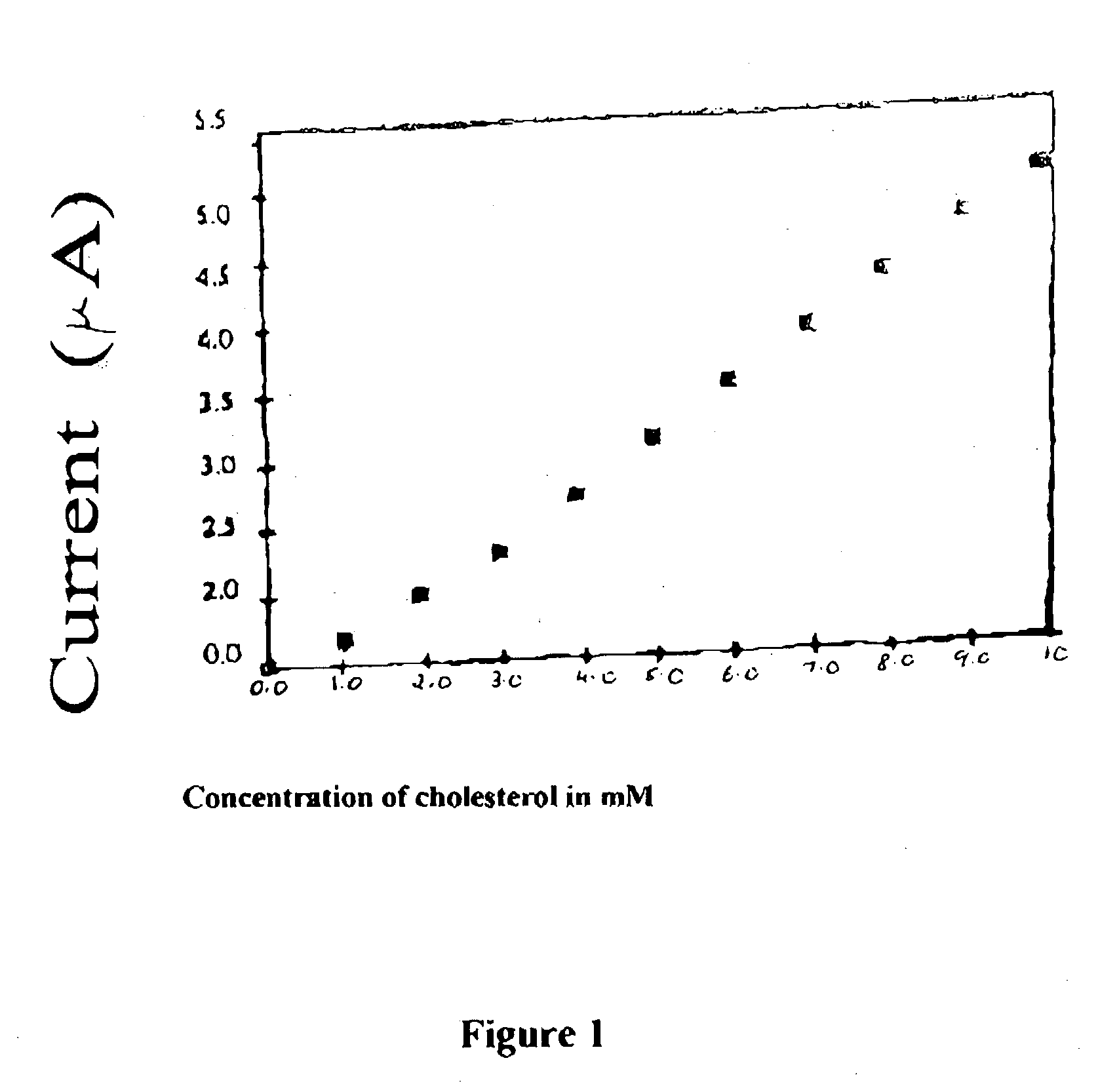 Enzyme electrode and process for preparation thereof