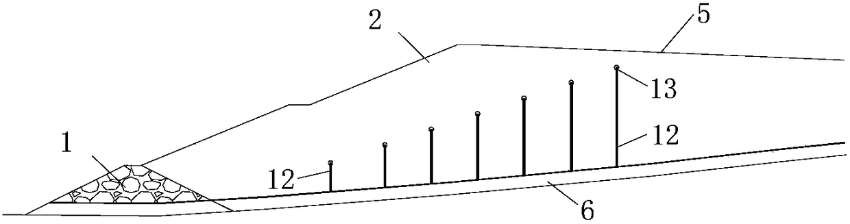 Pipe network system and construction method for treating frozen soil in tailings pond