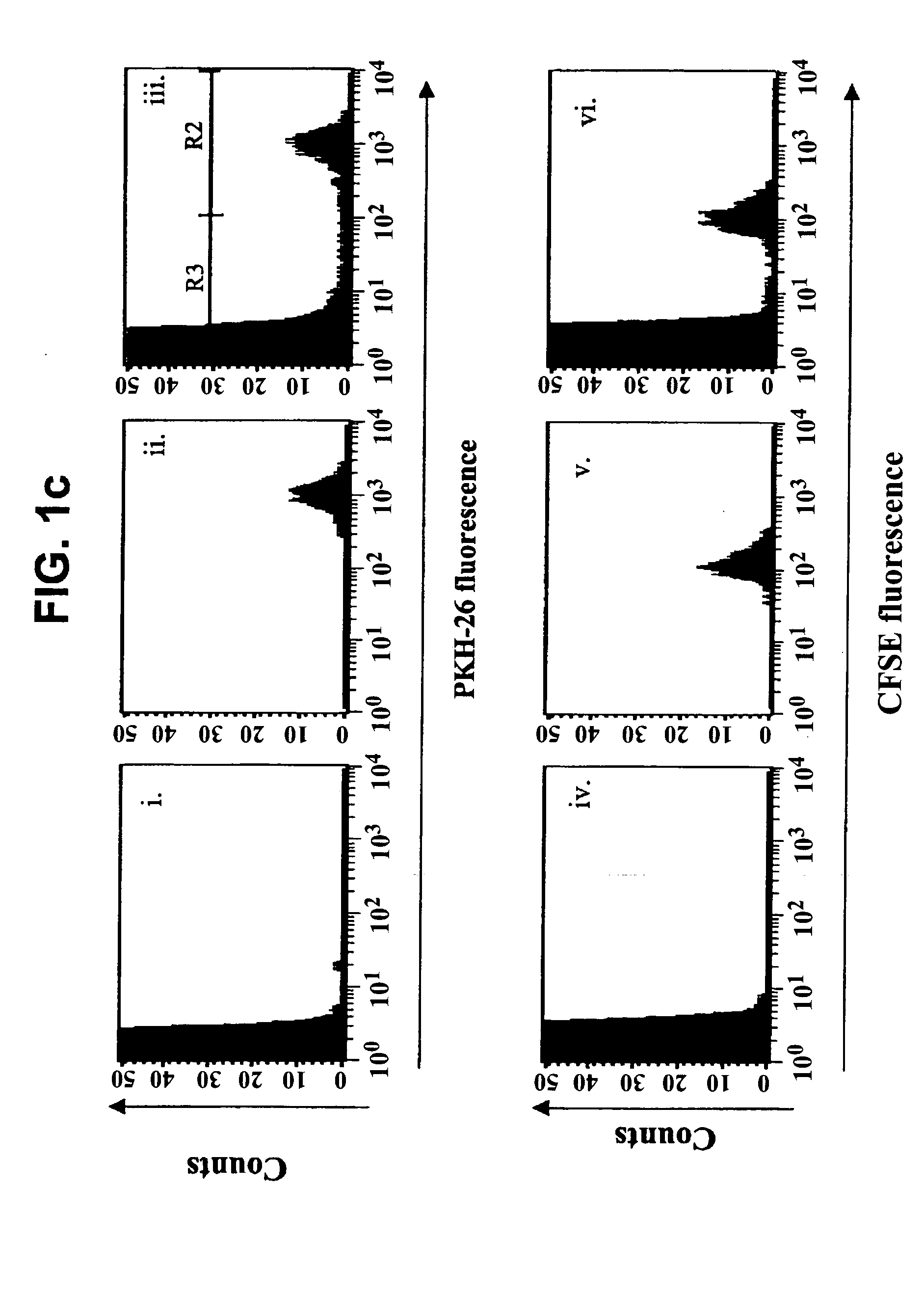 Methods of detecting specific cell lysis