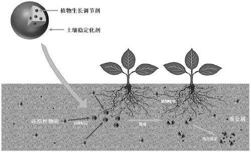 Preparation method of soil stabilizing agent