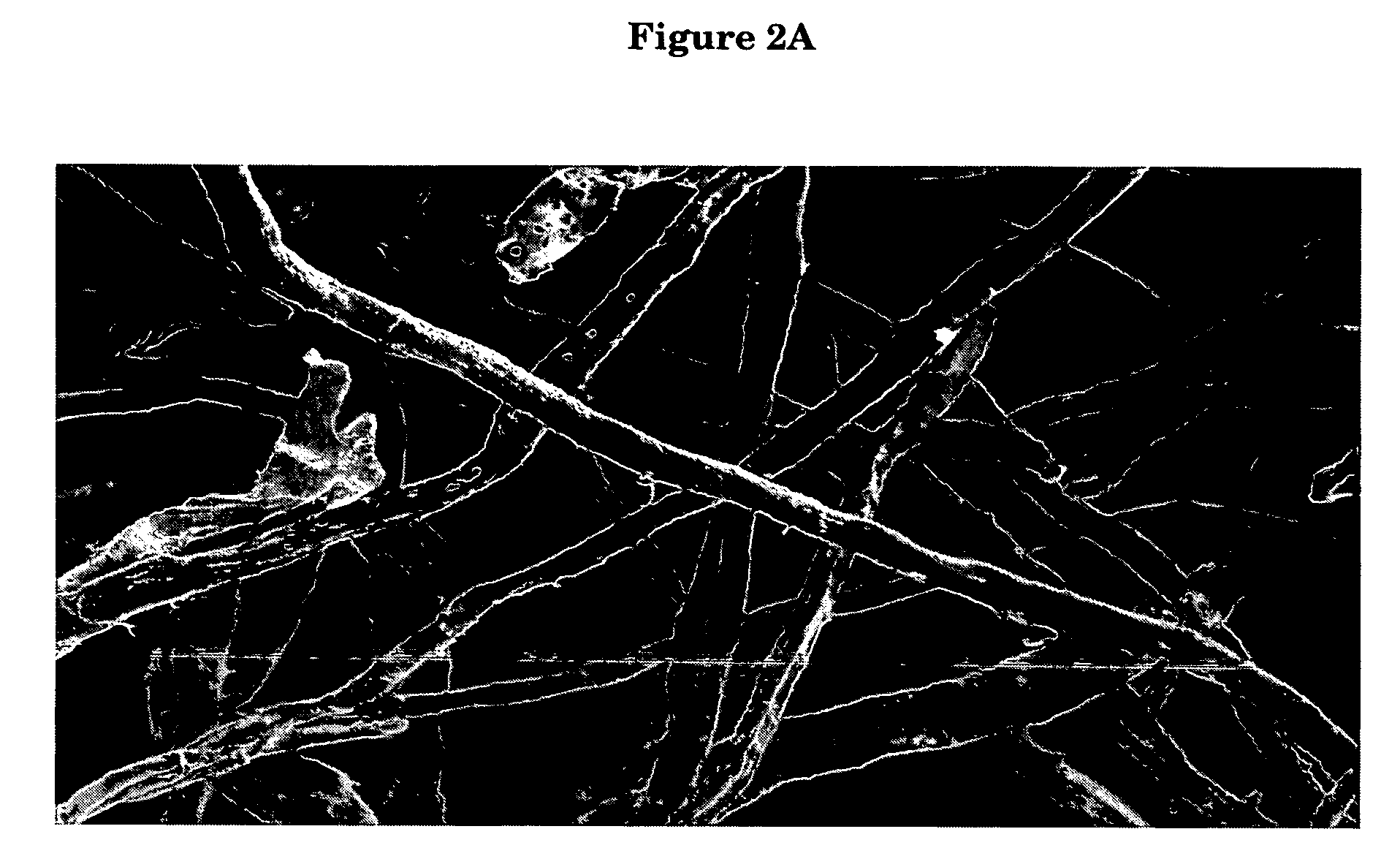 Method for making chemically cross-linked cellulosic fiber in the sheet form