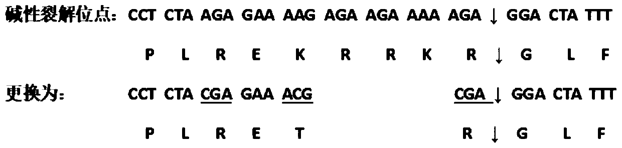 Method of saving chimeric viral strain and chimeric attenuated strain with A/B type chimeric HA plasmids