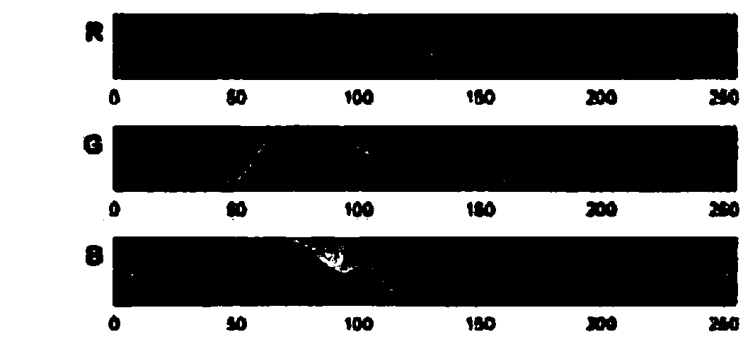 Self-adaptive Chinese character inscription rubbing image binarization segmentation algorithm