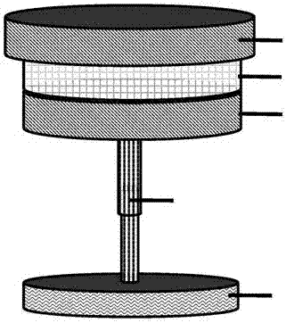 Rice brown planthopper pest monitoring method and device